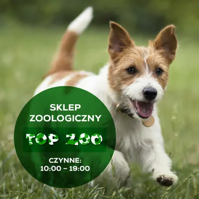 Sklep Zoologiczny Top Zoo Sandecja